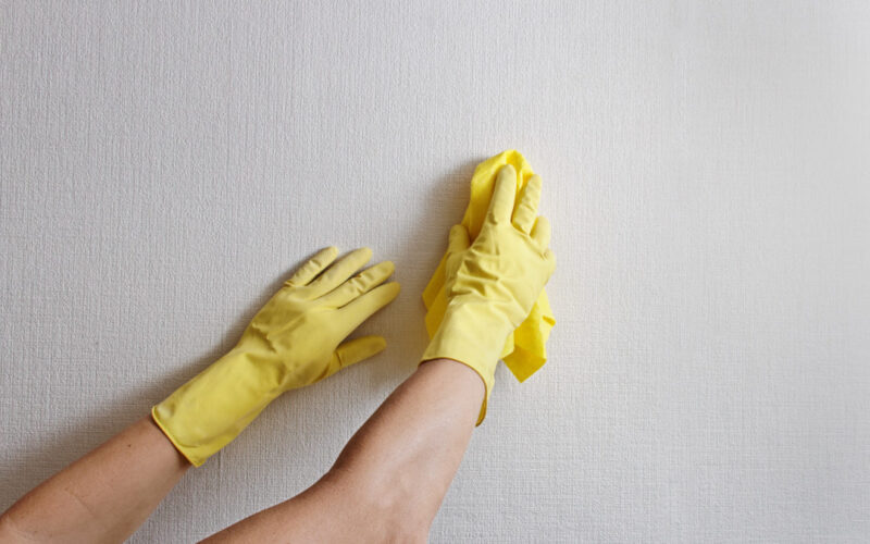 Steps for Paint Surface Preparation